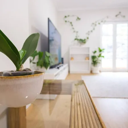 Brava - Location To Explore Madeira * Ribeira Brava