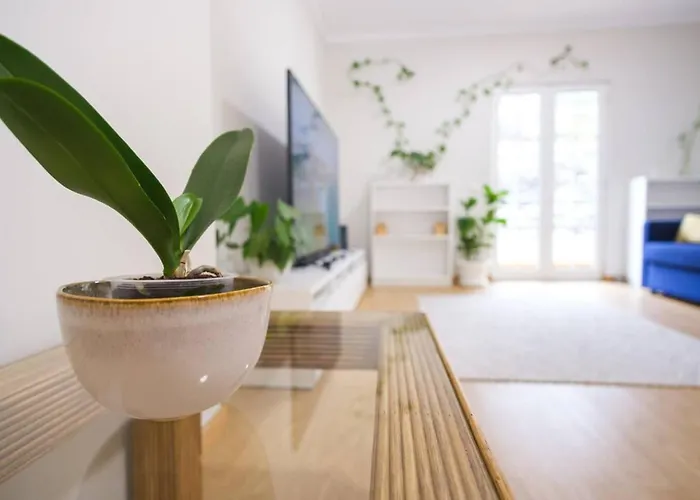 Brava - Location To Explore Madeira * Ribeira Brava